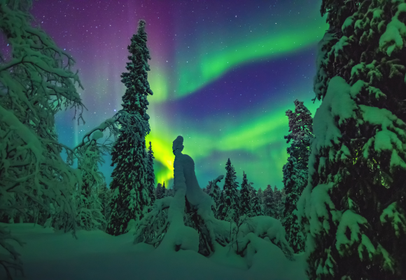 Lapland - Finland: Magical Christmas or New Year in the Arctic Circle